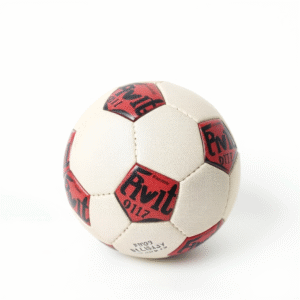 Profi-Fußball für Training & Spiel